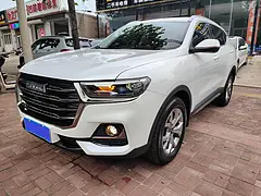 哈弗H6 2020款 1.5GDIT 双离合 铂金豪华版