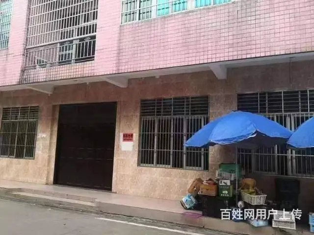 （51旺铺推荐）文昌公坡镇440平铺面出租 - 图片 2