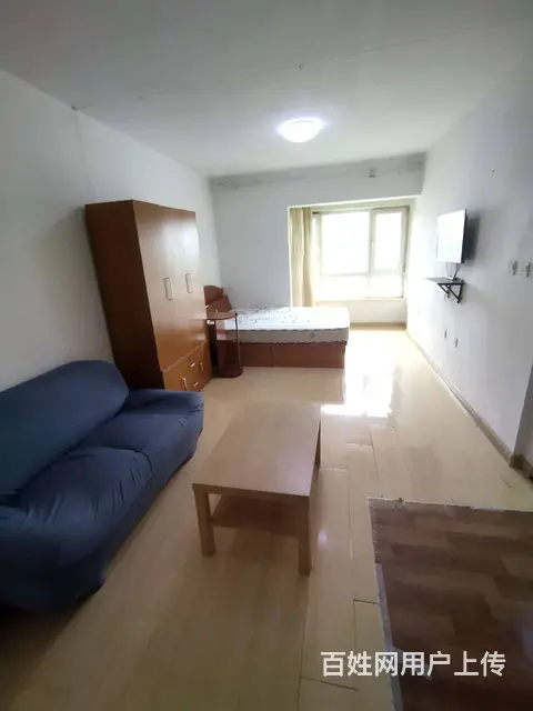地铁房爱丽香舍(铁西) 普通住宅1厅 中等装修 - 图片 3