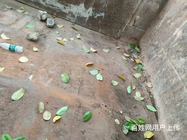 时代金刚 自卸车 - 图片 5
