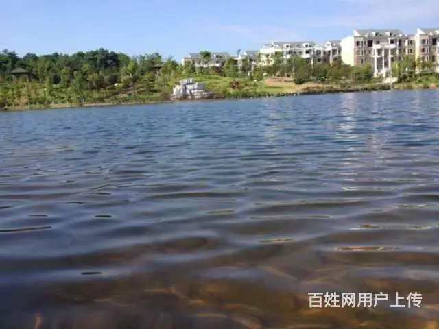 前后花园电梯防空洞豪宅 - 图片 1