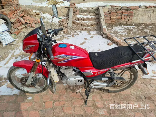 钻豹 - 图片 2