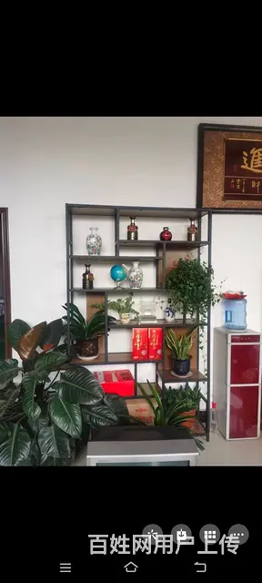 欢迎询问 - 图片 3