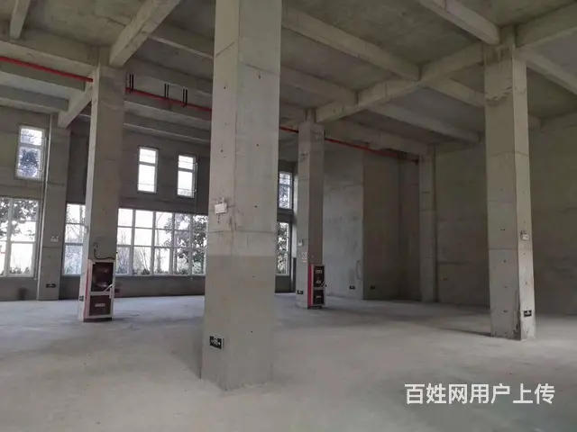青龙高速口旁 独立产权 产业园区独栋 - 图片 8