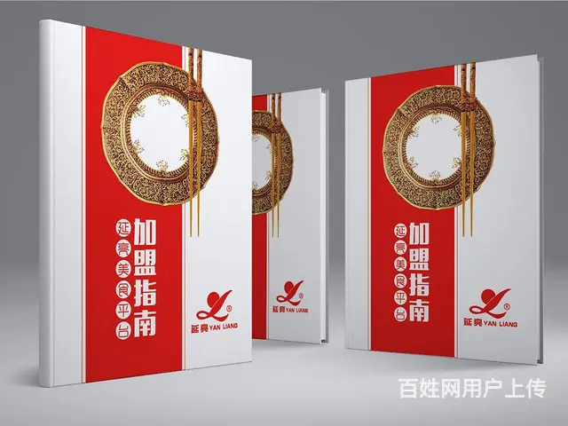企业平台招商手册设计，精品画册设计制作 - 图片 1