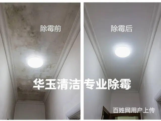 白云区黄石附近天花板除霉局部霉斑处理、家庭除霉治理 - 图片 3